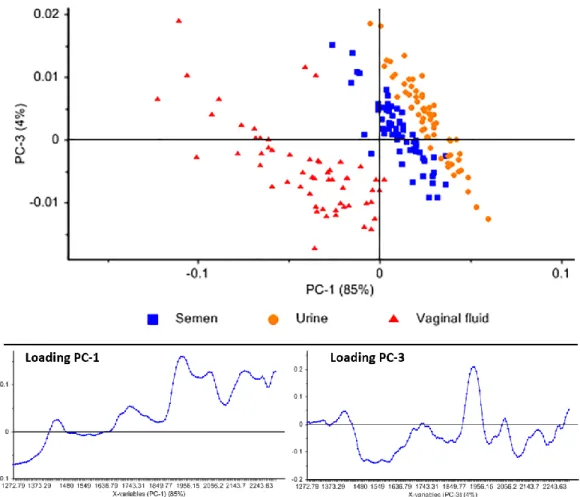 Figure 3. Two-dimension scores PCA plot along PC1 and PC3 considering the NIR spectra from  stains of semen, vaginal fluid, and urine on cotton.
