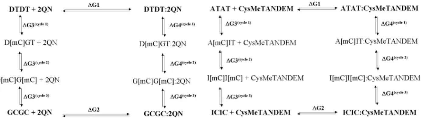 Figure 4. Thermodynamic cycles used for the computation of the free energy differences.