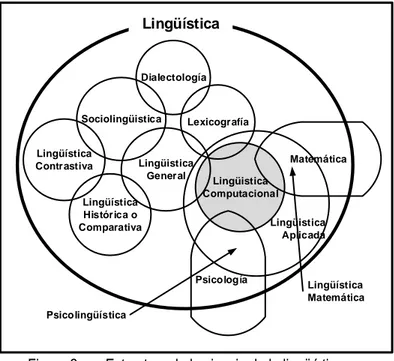 Figura 2:  Estructura de la ciencia de la lingüística  Fuente: Hernández M. 2007 