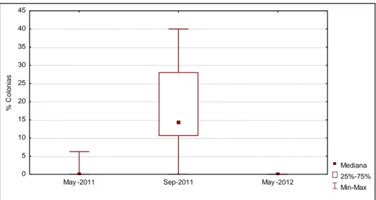 Figura  5:  Variaciones  temporales  en  el  por  ciento  de  colonias  blancas en el arrecife frontal de “Punta Madruguilla”