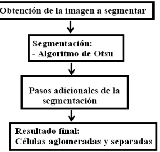 Figura 2. 6 Diagrama del algoritmo utilizado en el proceso de segmentación de eritrocitos
