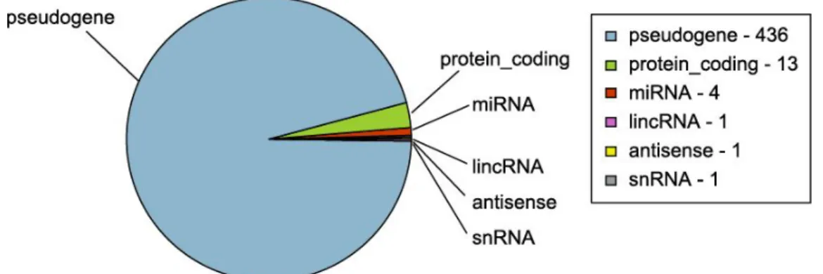 Table 4. Genes annotated by NUMT. The table indicates how many genes are annotated in one, two, three or four NUMT (any gene is formed by five or more NUMTs)
