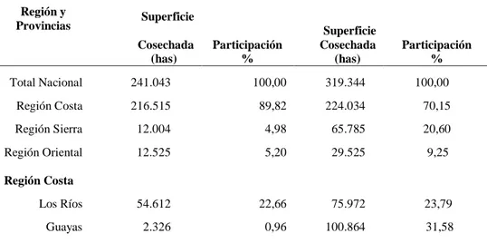 Tabla 6: Superficie Cosechada (has.) de las variedades de cacao: Nacional                                                                                 (fino de aroma) y CCN-51  año 2017, nacional, por regiones y provincias