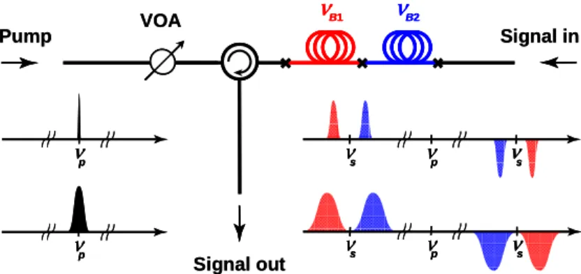 Fig.  1. Principle of the single-pumped passive configuration to generate a SBS gain or loss  doublet