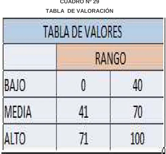 CUADRO Nº 29 TABLA  DE VALORACIÓN