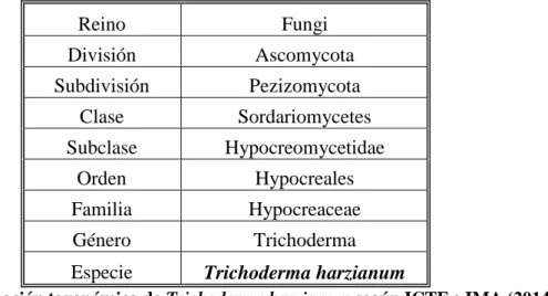 Cuadro 1: Clasificación taxonómica de Trichoderma harzianum según ICTF e IMA (2014)  Según FAO (2008), Trichoderma harzianum es un hongo micoparasito