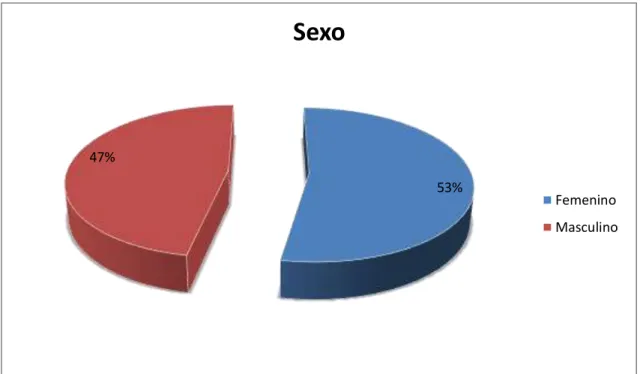 Gráfico N°3 – Indicador. 