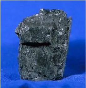 Fig. 1.1 – Piedra de carbón Mineral