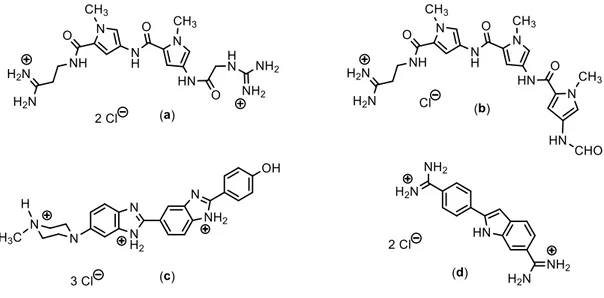 Figura 14. Ejemplos de ligandos que se unen al surco del ADN dúplex (a) netropsina,   (b) distamicina A, (c) Hoechst 22358 y (d) 2-(amidinofenil)-1H-indol-6-carboxamidina (DAPI) 