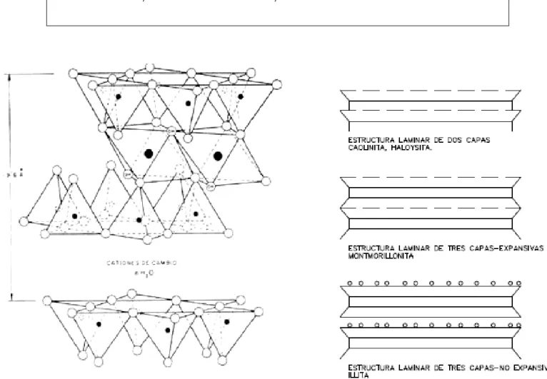 Tabla N°2: Estructura Micro estructural (10)