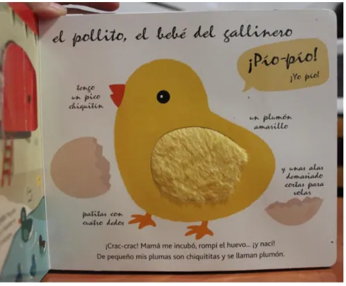 Fig. 4. Documentación gráfica de cuentos con estímulos 