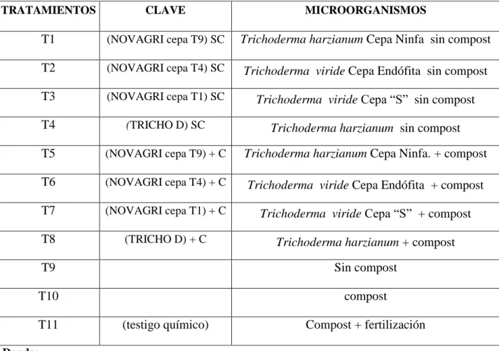 Cuadro  5:  Tratamientos  en  estudio  para  el  efecto  de  compost  mas  dos  cepas  de  Trichoderma  harzianum y Trichoderma viride   en la producción de brócoli (Brassica oleracea L