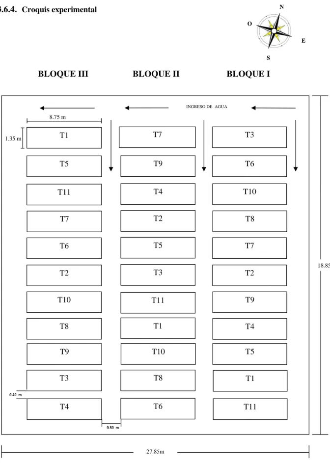 Figura 2: Distribución de los tratamientos en el campo experimental en relación a los puntos cardinales  en el efecto de Trichoderma harzianum y Trichoderma viride  en el crecimiento y desarrollo de brócoli  (Brassica oleracea L