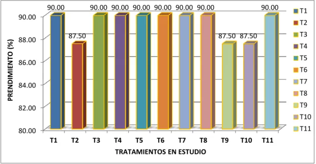 Gráfico l: Porcentaje de prendimiento (%) de los plantines a los 15 d.d.t. para el efecto de compost mas  dos  cepas  de  Trichoderma  harzianum  y  Trichoderma  viride  en  la  producción  de  brócoli  (Brassica  oleracea L