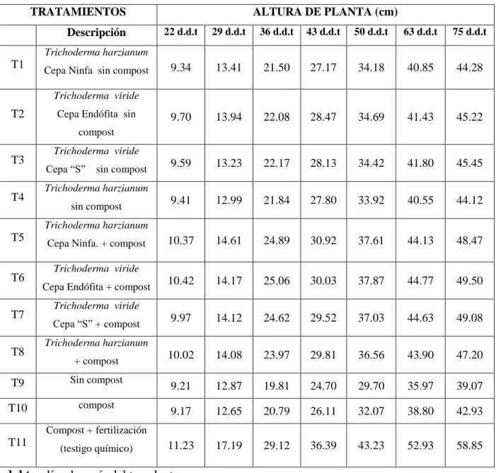 Cuadro 10: Altura de planta (cm) a los 22, 29, 36, 43,50, 63 y 75 d.d.t.  para el efecto de compost mas  dos  cepas  de  Trichoderma  harzianum  y  Trichoderma  viride  en  la  producción  de  brócoli  (Brassica  oleracea L