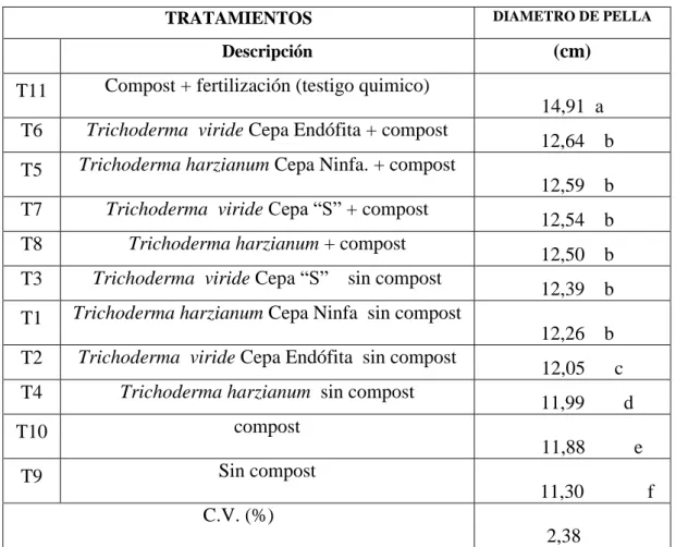 Cuadro  14:  Diametro  de  pella  (cm)  para  el  efecto  de  compost  mas  dos  cepas  de  Trichoderma  harzianum y Trichoderma viride   en la producción de brócoli (Brassica oleracea L