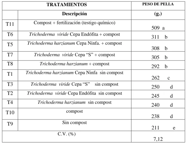 Cuadro 15: Peso de pella (g.)  para el efecto de compost mas dos cepas de Trichoderma harzianum y  Trichoderma viride   en la producción de brócoli (Brassica oleracea L