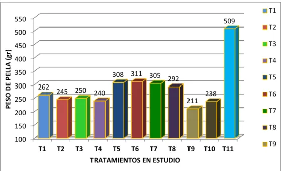 Gráfico  7 :  Peso  de  pella  (g)  para  el  efecto  de  compost  mas  dos  cepas  de  Trichoderma  harzianum  y  Trichoderma viride   en la producción de brócoli (Brassica oleracea L