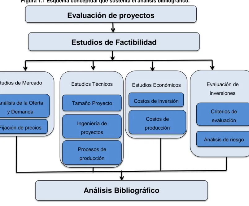 Figura 1.1 Esquema conceptual que sustenta el análisis bibliográfico. 