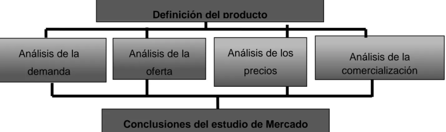Figura 1.4 Estructura del estudio de mercado. Fuente: (Baca Urbina, 2006) Conclusiones del estudio de Mercado 