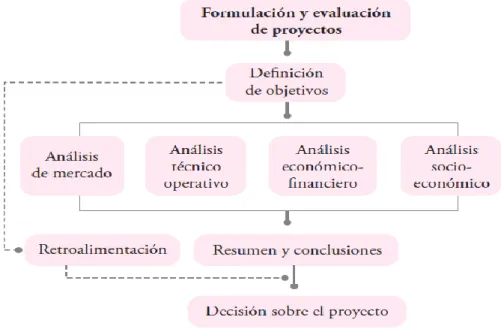 Figura 1.2 Estructura general de la evaluación de proyectos. 