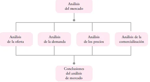 Figura 1.5 Estructura del análisis del mercado(Baca Urbina, 2013). 