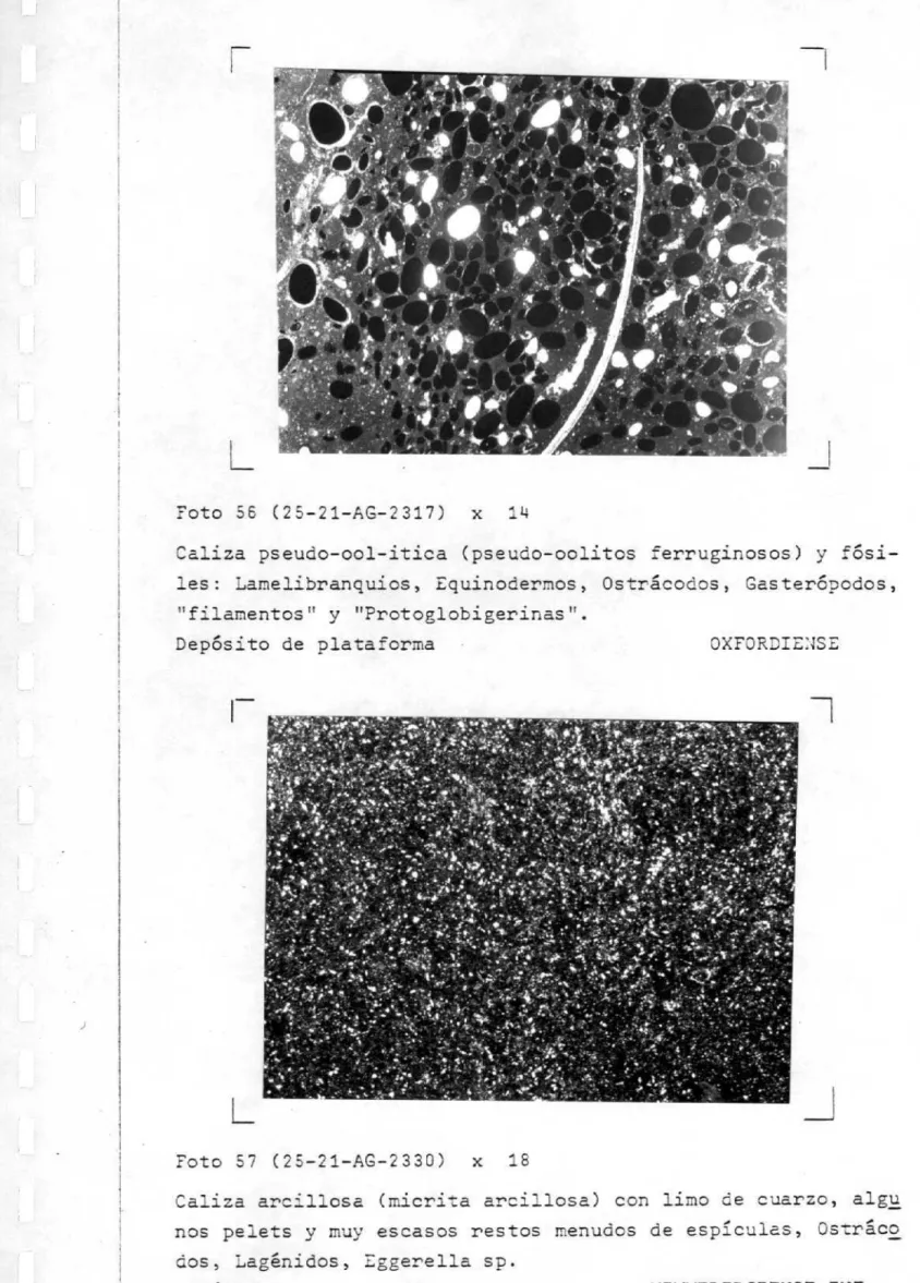 Foto 56 (25-21-AG-9.317i x 14