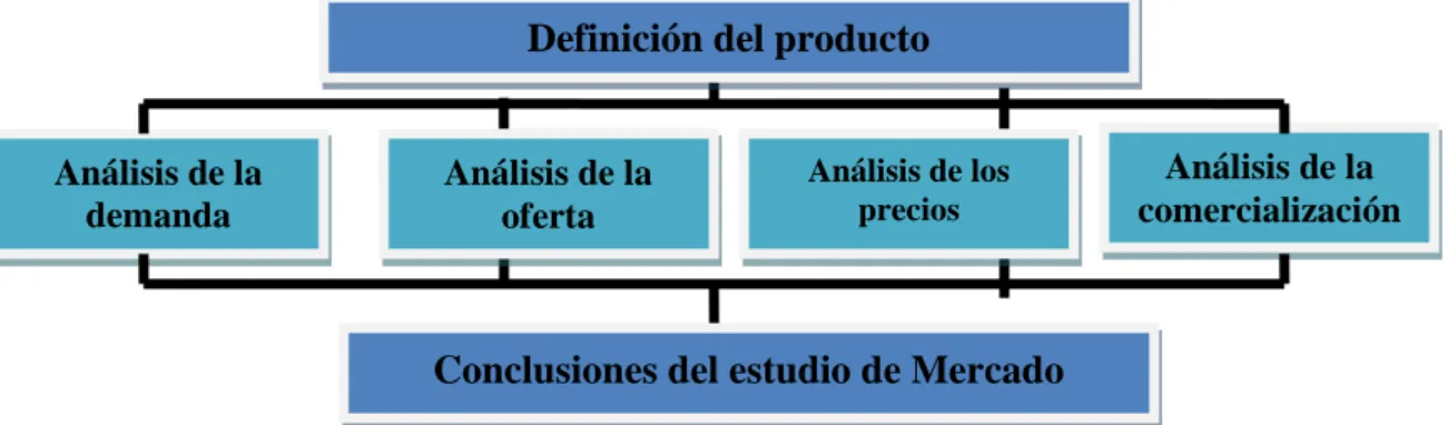 Figura 1.4. Estructura del estudio de mercado. Fuente: Baca Urbina, 2001 Conclusiones del estudio de Mercado 