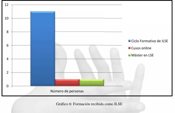 Gráfico 6: Formación recibida como ILSE