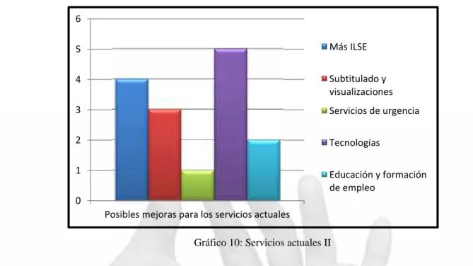 Gráfico 10: Servicios actuales II