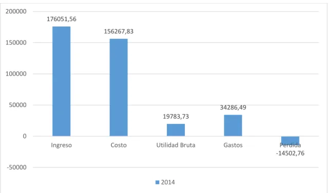 Figura 6. Situación financiera de RIKAPAPA S.A. año 2014  