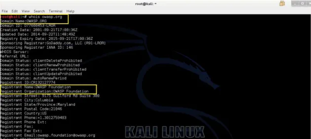 Figura 2: whois ejecutado sobre un terminal de Kali virtualizado sobre VmWarePlayer 