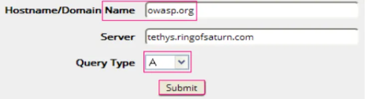 Figura 6: rellenamos "hostname/domain" y “ tipo de consulta”. El server viene por defecto