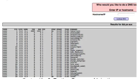 Ilustración 6: Testing Command Injection