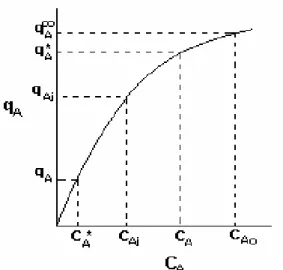 Figura V: Variación de la concentración promedio de a  en la fase sólida (Cas),  con respecto a la captación de equilibrio de A por masa del adsorbente (qA)