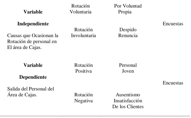 Figura 9. Categorización de las Variables 