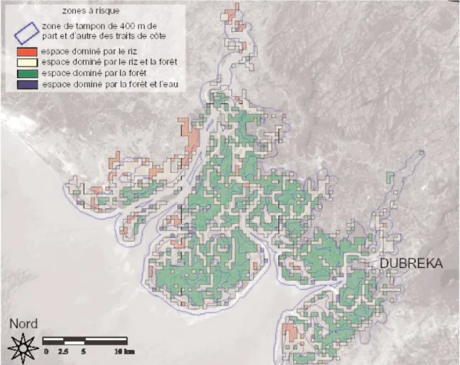 Figure 10.-  Espaces à risque dans la mangrove
