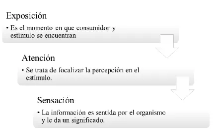 Figura 2.3 Etapas de la percepción