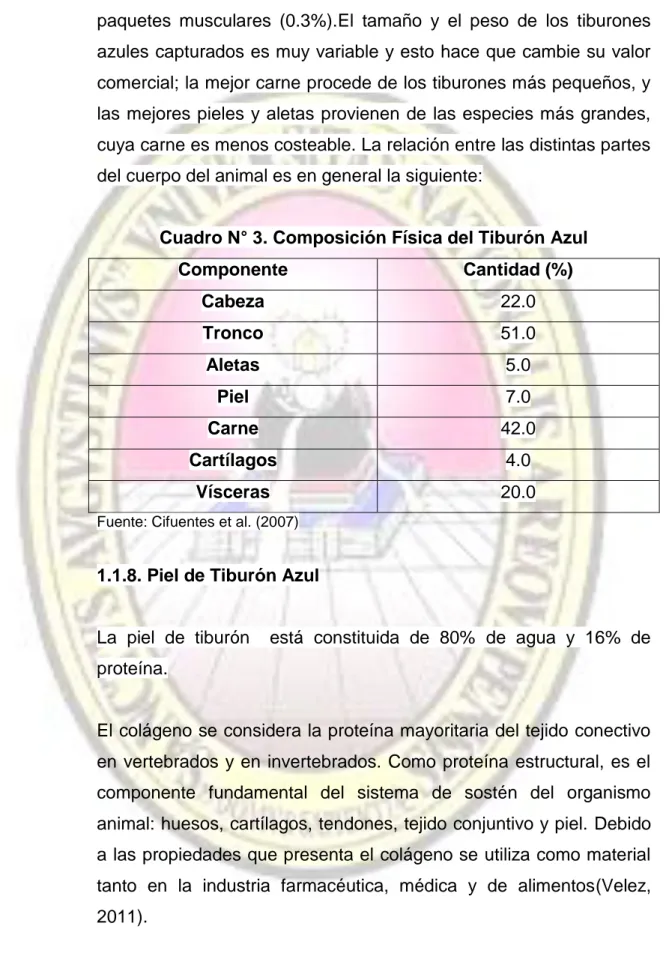 Cuadro N° 3. Composición Física del Tiburón Azul 