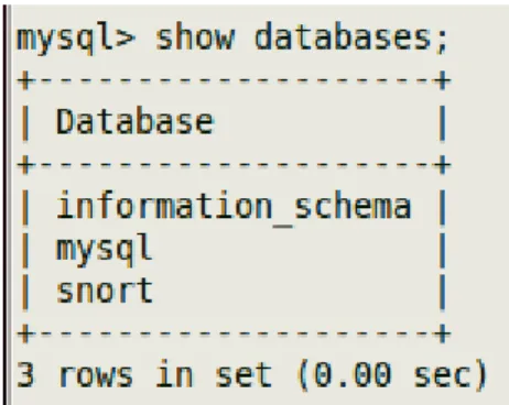 Figura  2.5: Visualización  de Base de Datos. 