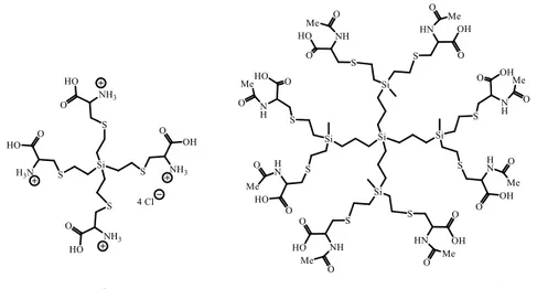 Figure 1. Proposed structures for dendrimers G 0 Si(SCH 2 CH(N + H 3 )(COOH) Cl - ) 4   (4) and  G 1 Si(SCH 2 CH(NHCOCH 3 )(COOH)) 8