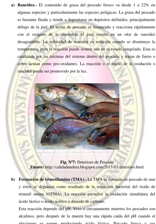 Fig. Nª7: Deterioro de Pescado 
