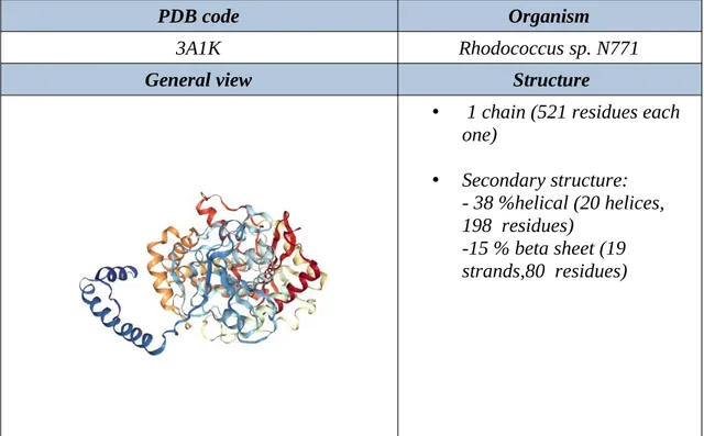 Table 5. Indole-3-acetamide hydrolase (PDB protein profile)