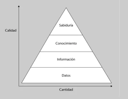 Figura 1. Pirámide informacional 