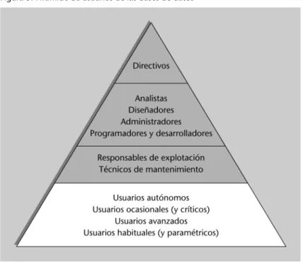Figura 3. Pirámide de usuarios de las bases de datos