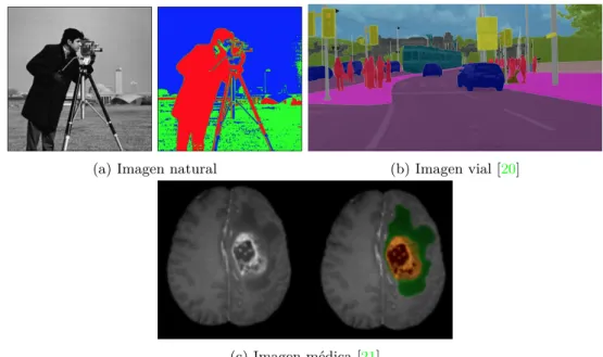 Figura 2.1: Ejemplos de posible segmentación en imágenes de cualquier tipo