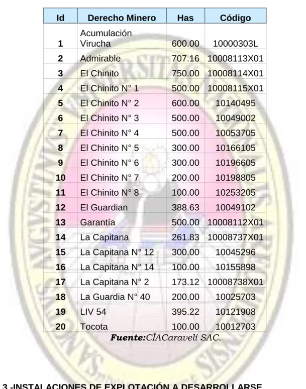Tabla N° 1.3:Derechos Mineros. 