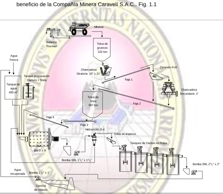 Fig. 1.1. Flowsheet de la Planta de beneficio de la  Cía Minera Caravelí  S.A.C 