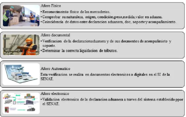 Figura 3. Tipos de aforo. 