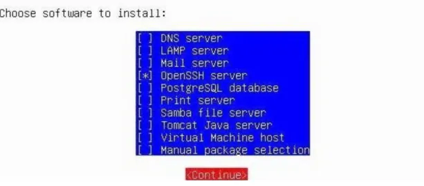 Fig. 1.3 : Opción para instalar OpenSSH 